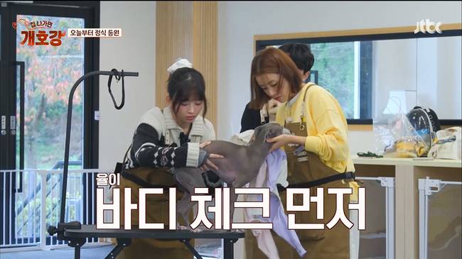 사진=JTBC ‘집 나가면 개호강’