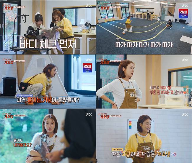 사진=JTBC ‘집 나가면 개호강’