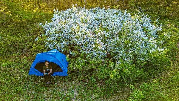 자암재에서 환선봉으로 가는길에 우연히 만난 조팝나무 군락지. 만개한 조팝나무 옆에서 달콤한 하룻밤을 보냈다.