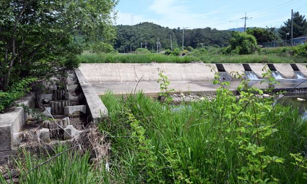 장흥군 유치면 관동리에 설치된 어도. 물고기가 상류로 이동하는 입구가 퇴적물로 막혀있다. 어도 내부도 물이 흐르고 있지 않다.
/나명주 기자 mjna@kwangju.co.kr