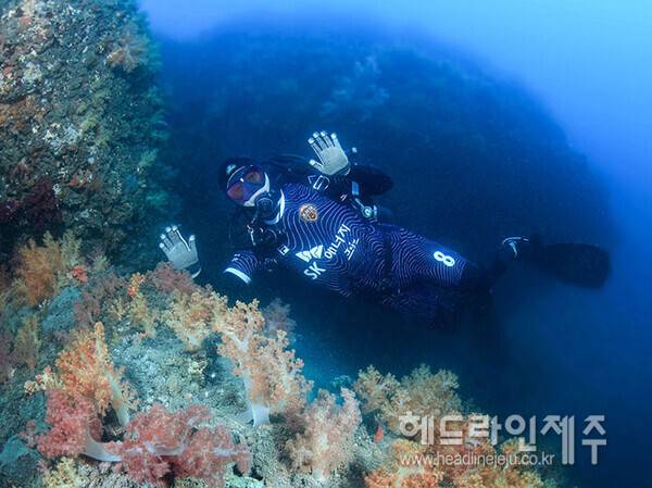 제주SK FC가 2025시즌 써드 유니폼 '제주 남방큰돌고래'를 10일 공개했다 (사진=제주SK FC)