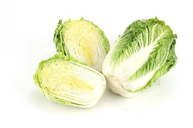 배추 품종 하라듀. ⓒ농촌진흥청