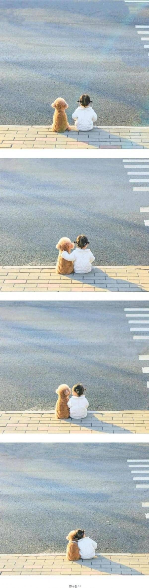 딸이 외로워해서 댕댕이 데려왔더니