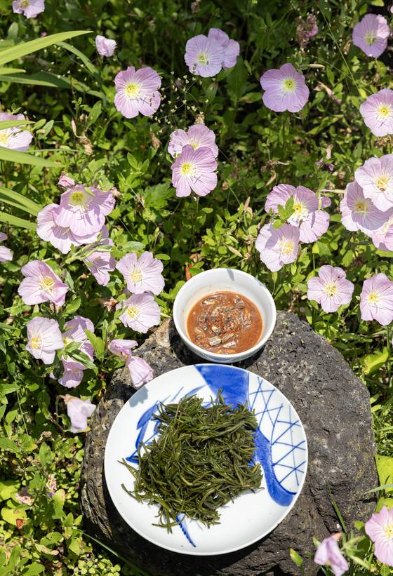 진여원 명인이 차려낸 제주 해녀 밥상. 생톳에 멜젓을 올려 밥과 함께 먹으면 고소하고 감칠맛 난다. 최기웅 기자