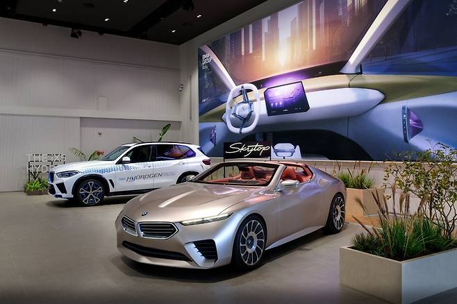 BMW그룹코리아 30주년 페스티벌 현장. 사진=BMW그룹코리아