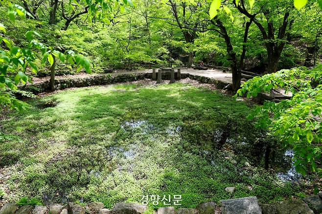 백사실 계곡의 봄. (2024년 5월 2일 촬영)