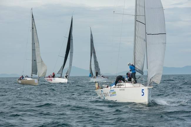 남해안컵 국제 요트대회 자료 사진.