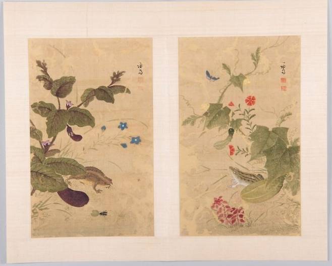 복원된 겸재 정선 화훼영모화첩 중 '하마가자'(두꺼비와 가지. 왼쪽)와 '과전전계'(외밭의 참개구리). 사진=대구간송미술관 제공. *재판매 및 DB 금지