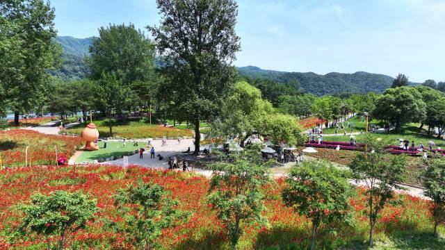 ▲다양한 꽃이 만발한 ‘자라섬 꽃 페스타’ 현장.ⓒ가평군
