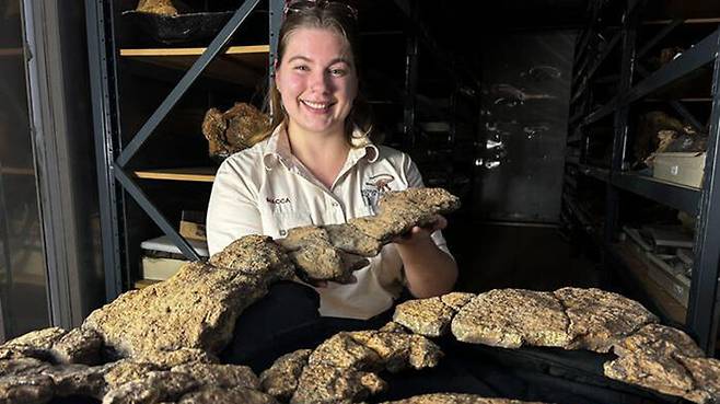용각류 디아만티나사우루스의 장 내용물 화석