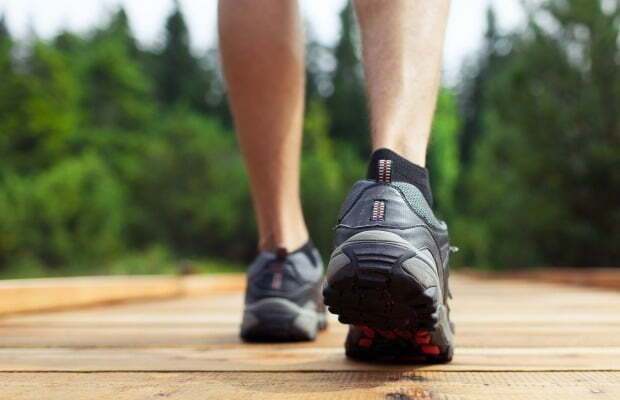 게티이미지뱅크