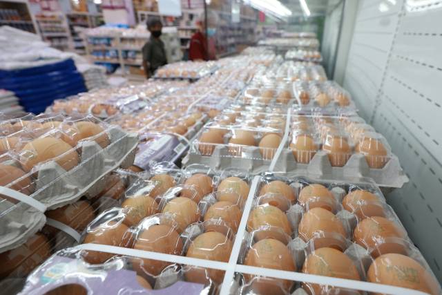 계란 가격이 강세를 이어가는 가운데 9일 서울 서초구 하나로마트 양재점에서 계란을 판매하고 있다. 연합뉴스