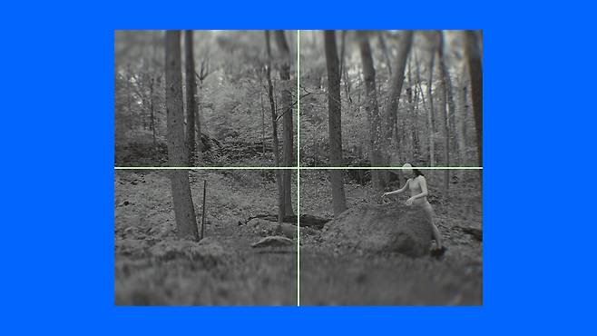 임영주, '카밍 시그널', 2023/2025, 3채널 영상 설치. 컨셉 이미지. (매그 피알 앤 제공)