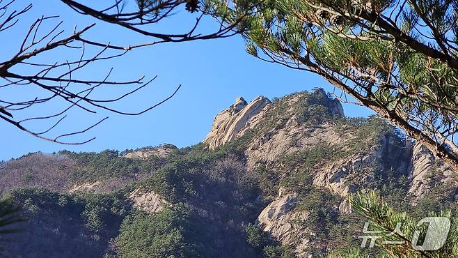 설악산 달마봉 전경.(속초시 제공, 재판매 및 DB 금지) 2025.6.11/뉴스1