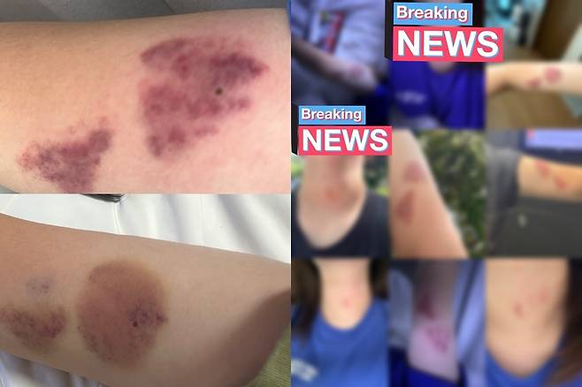 (X 갈무리) /뉴스1