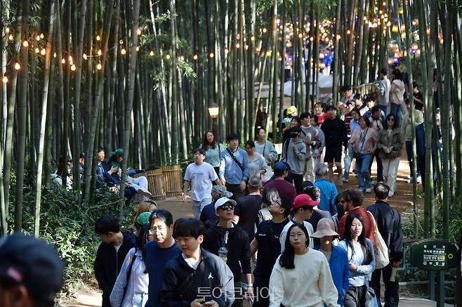 담양대나무축제/사진-전남도