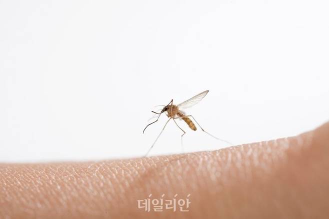 ⓒ게티이미지뱅크