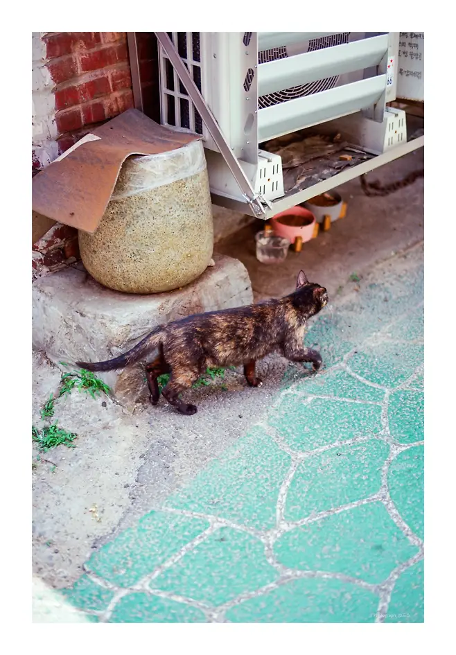 79edf207b3841b8223998fed329c70196102c7917f2817faf5396705564b3240dc3cae9587caaf724d517fc94c67162da63ca5ceaf77