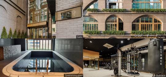 르피에드 인 강남 이미지