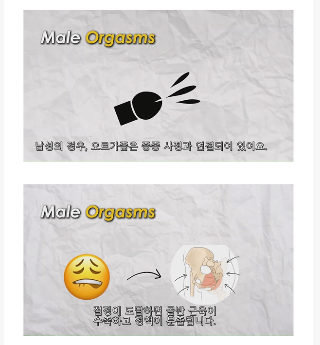 남여 오르가슴 차이
