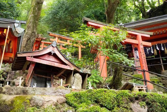 일본 규슈 사가현 유토쿠이나리 신사의 정상으로 가는 길.