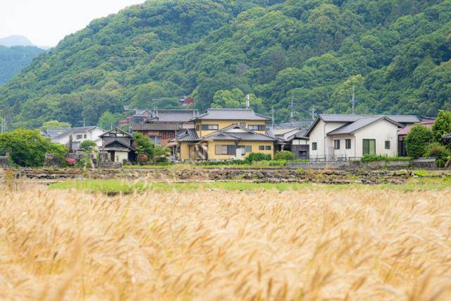 일본 규슈 사가현 유토쿠이나리 신사 인근 작은 마을의 전경.