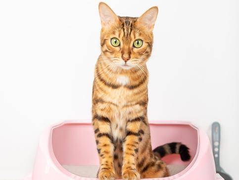 게티이미지뱅크