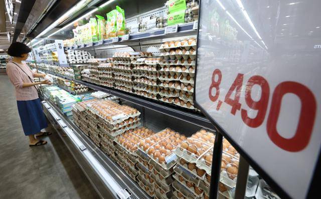 지난 9일 서울 시내 한 대형마트 계란 매대에 소비자들이 계란을 고르고 있다. 뉴시스