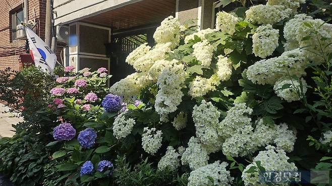 사진=유지희 기자