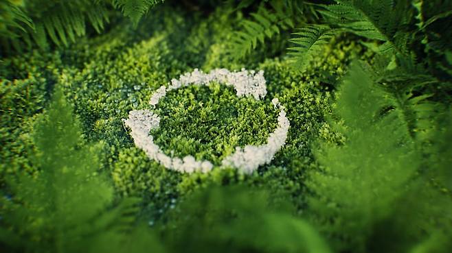 사진=게티이미지뱅크