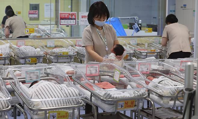지난달 26일 인천 미추홀구 아인병원에서 의료진이 신생아들을 보살피고 있다.[연합]