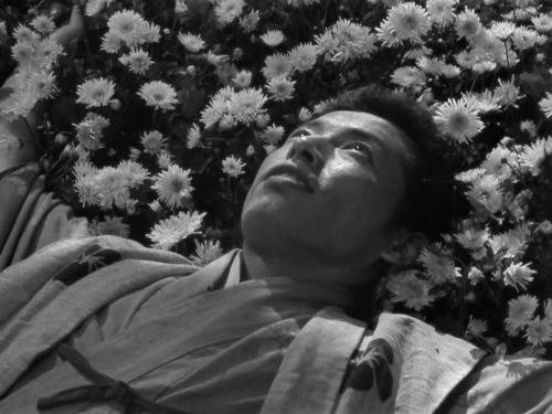 Shichinin no samurai tumblr에 대한 이미지 검색결과