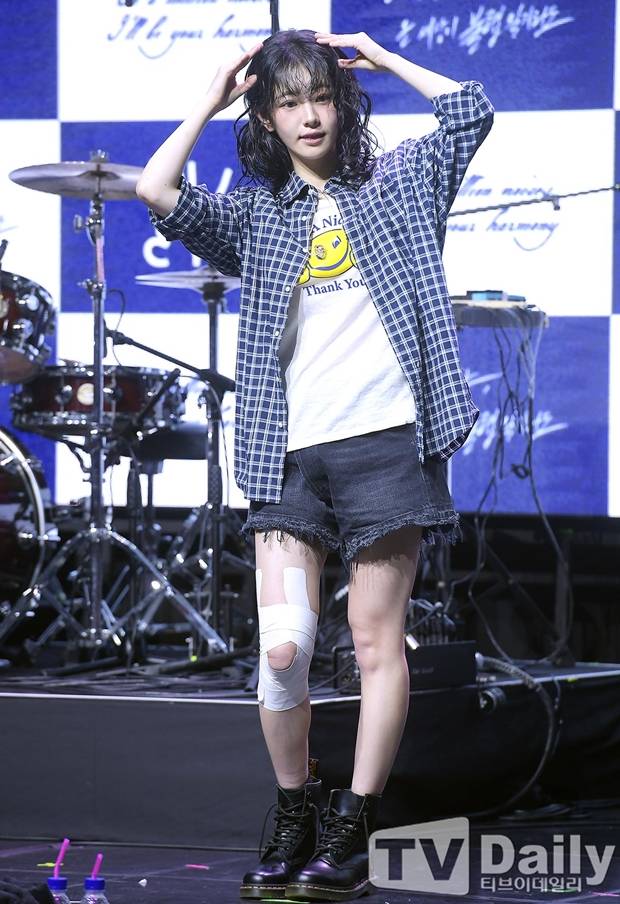 티브이데일리 포토