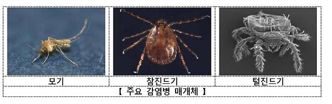 [질병관리청 제공]