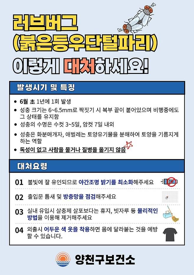 러브버그 대처방법 [양천구 제공. 재판매 및 DB 금지]