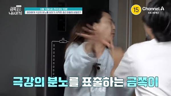 ⓒ채널A