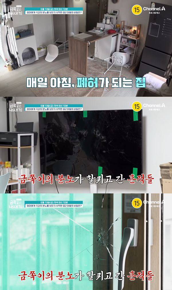 ⓒ채널A