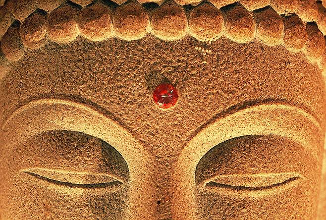 게티이미지뱅크.