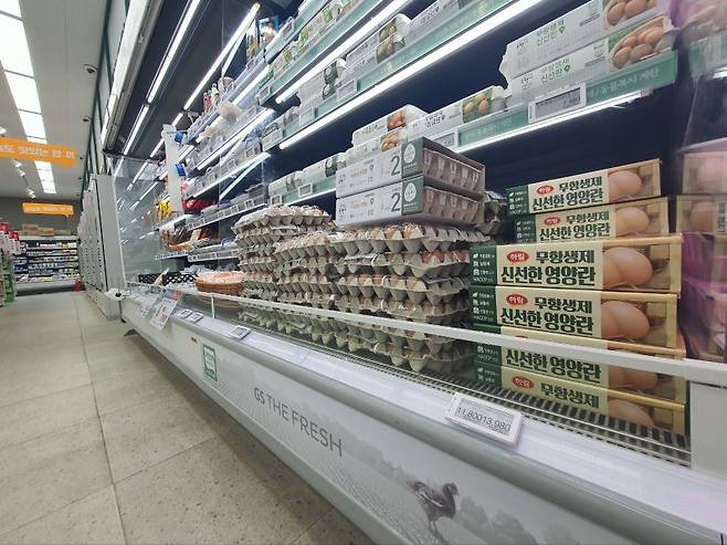 지난 11일 서울 시내 대형마트에 달걀들이 진열돼 있다. 사진=최승한 기자