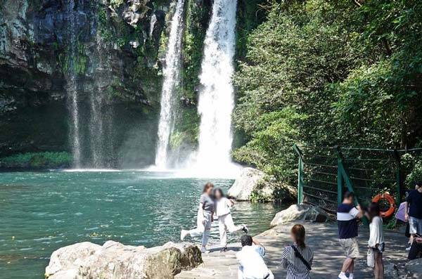 제주 서귀포시가 천지연 폭포 내 반려동물 동반 입장을 허용한다./사진=뉴시스