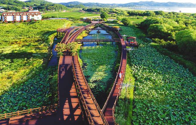 충남 예산 예당호 중앙생태공원. 한국관광공사제공