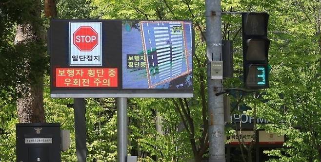실시간 영상으로 보행자 유무를 알려주는 과천형 스마트 보행자안전시스템./사진제공=과천시