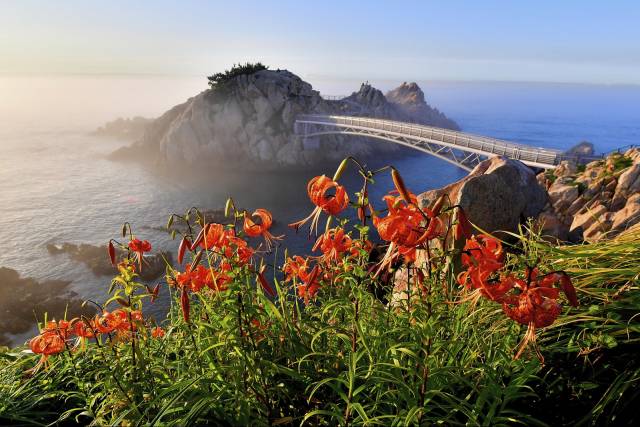 울산 대왕암공원. 사진제공=울산시