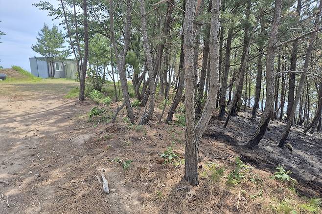 곤륜산 정상 부근에서 난 불 흔적 [촬영 손대성]
