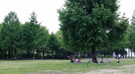 덥고 습한 공기 유입으로 찜통더위가 찾아온 서울 성동구 서울숲에서 시민들이 그늘을 찾아 휴식하고 있다.(사진=연합뉴스)