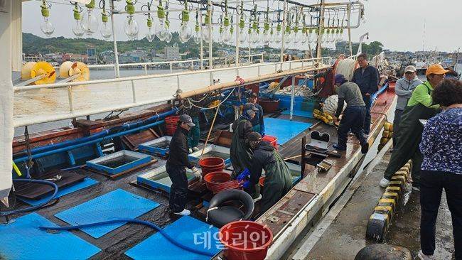 경북 포항시 구룡포항에서 한 어선이 오징어를 활어차에 옮겨 싣고 있다. ⓒ데일리안 장정욱 기자