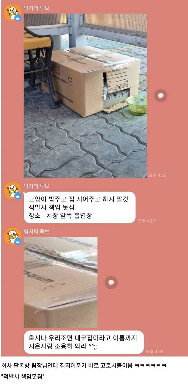 캣망.jpg 회사 흡연장에서 고양이 밥 주다 불 낸 직원...jpg 회사 흡연장에서 고양이 밥 주다 불 낸 직원...jpg