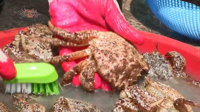 한국인의 밥상 - 왕밤송이게 된장찌개 , 왕밤송이게 찜(스압) 한국인의 밥상 - 왕밤송이게 된장찌개 , 왕밤송이게 찜.jpg