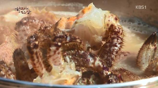 한국인의 밥상 - 왕밤송이게 된장찌개 , 왕밤송이게 찜(스압) 한국인의 밥상 - 왕밤송이게 된장찌개 , 왕밤송이게 찜.jpg