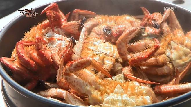 한국인의 밥상 - 왕밤송이게 된장찌개 , 왕밤송이게 찜(스압) 한국인의 밥상 - 왕밤송이게 된장찌개 , 왕밤송이게 찜.jpg